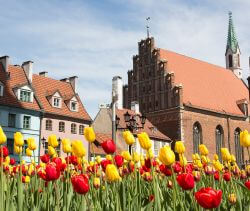 Baltic Highlights Mini Tour