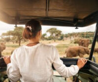 Tarangire National Park