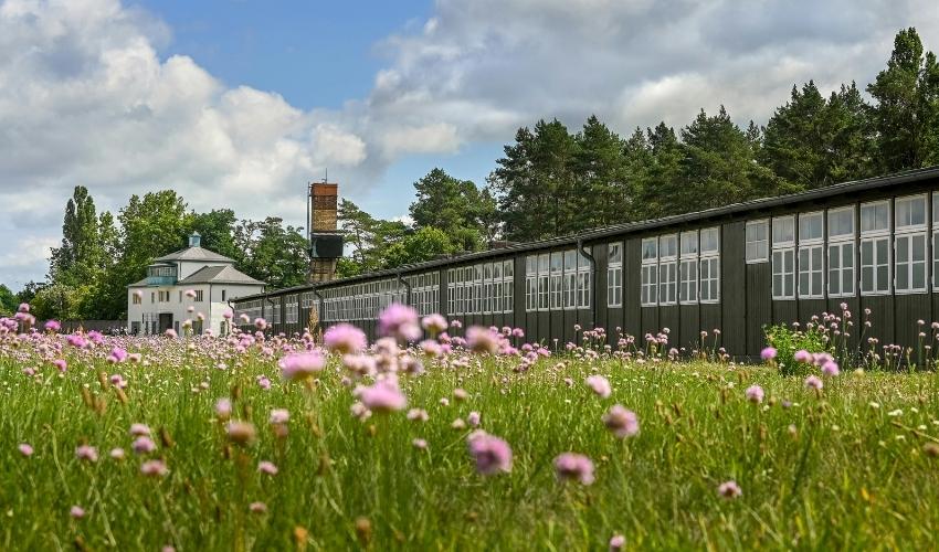 Sachsenhausen Memorial Area with Spring Flowers