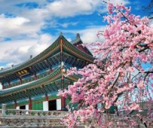 South Korea & Kyoto Cultural Journey