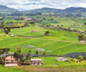 Baltic Capitals & Coastline