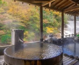 Nyuto forrest Japan Nyuto forrest Japan