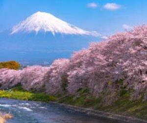 Mount Fuji Mount Fuji